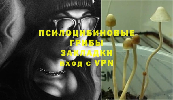 спиды Ладушкин