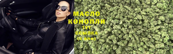 спиды Ладушкин
