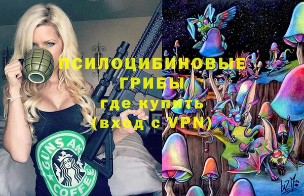 apvp Алзамай